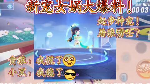 女娲宠物爆料视频大全最新,揭秘神秘宠物背后的故事  第1张